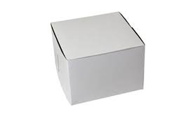 7x7x5" Cake Box White Clay