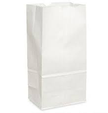 25 lb Paper Bag White Tall 8.25x5.13x18"